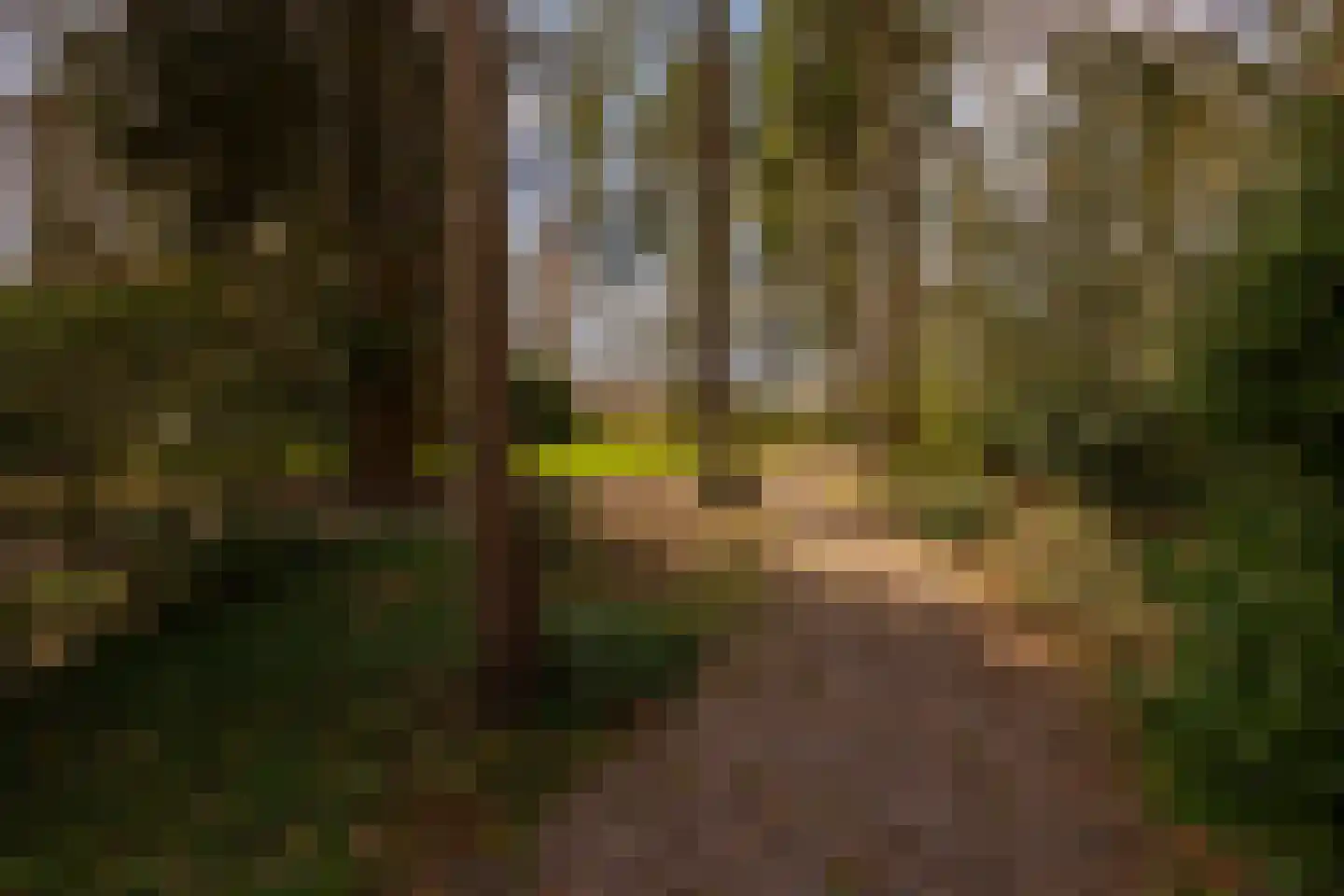 Flessenbosweg 6 Joppe thumbnail 65