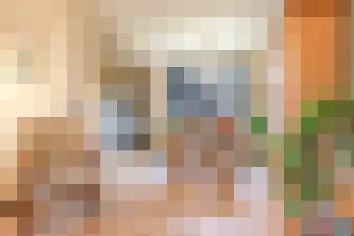 Flessestraat 32 Heteren thumbnail 17