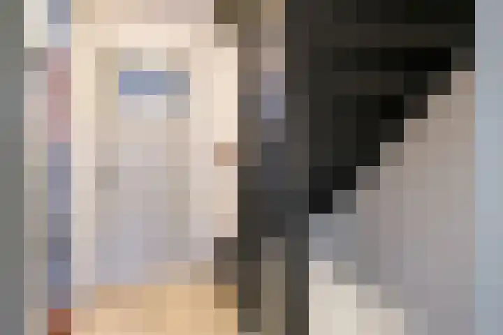 Flessestraat 32 Heteren thumbnail 35