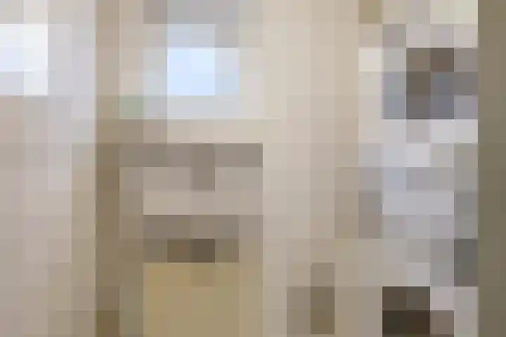 Flessestraat 32 Heteren thumbnail 36
