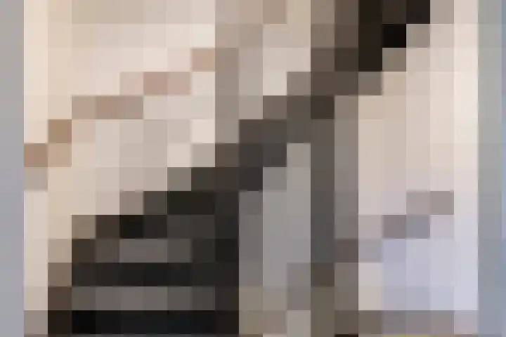 Flessestraat 32 Heteren thumbnail 39