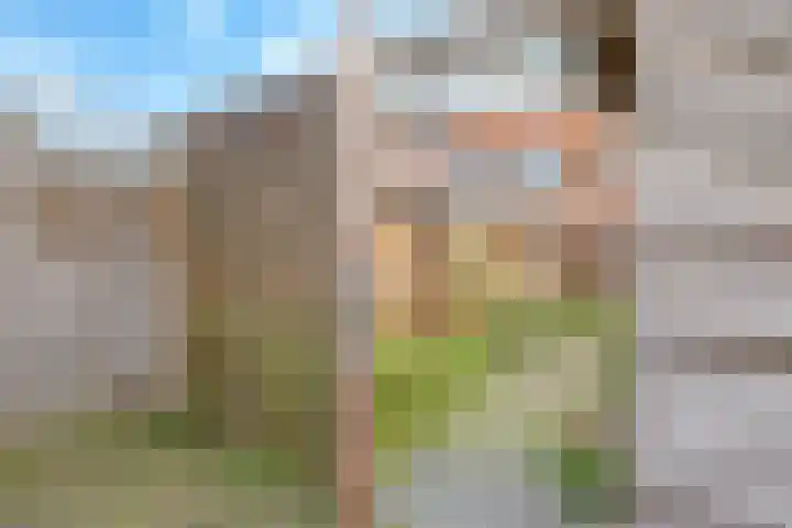 Flessestraat 32 Heteren thumbnail 57