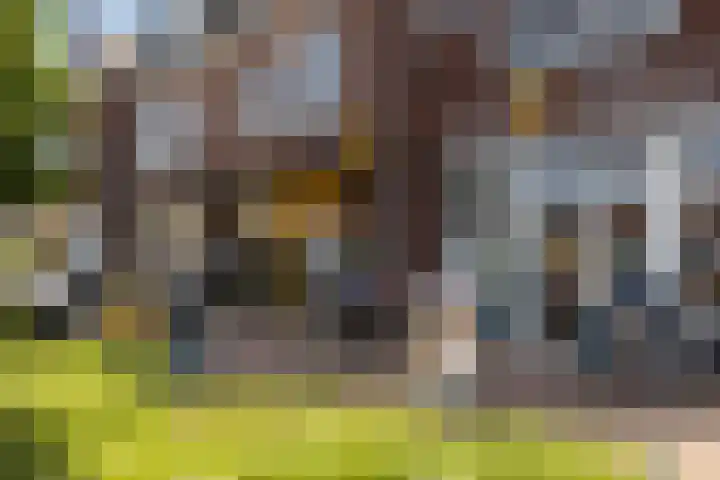 Flessestraat 32 Heteren thumbnail 70