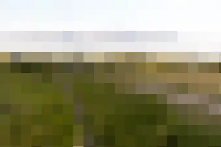 Flessestraat 32 Heteren thumbnail 71