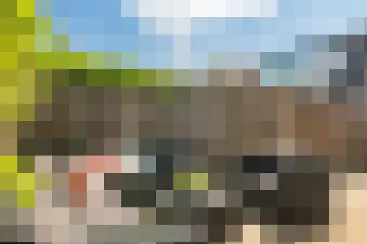 Flessestraat 32 Heteren thumbnail 8