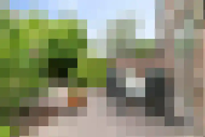 Flessestraat 32 Heteren thumbnail 9