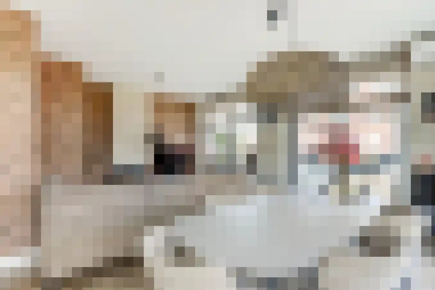 Flessestraat 7 k Heteren thumbnail 13