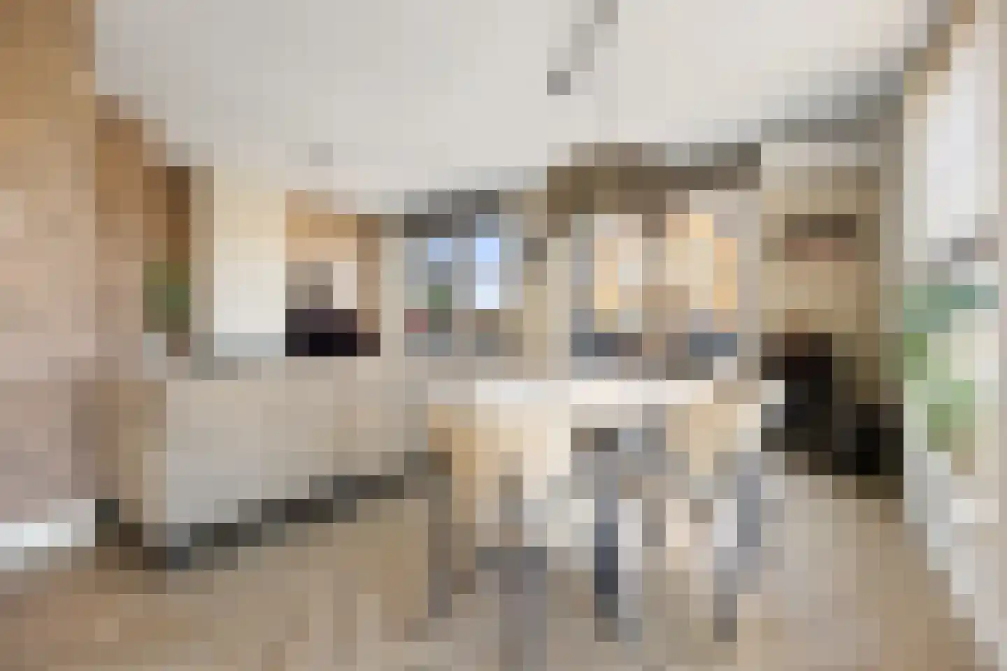 Flessestraat 7 k Heteren thumbnail 17