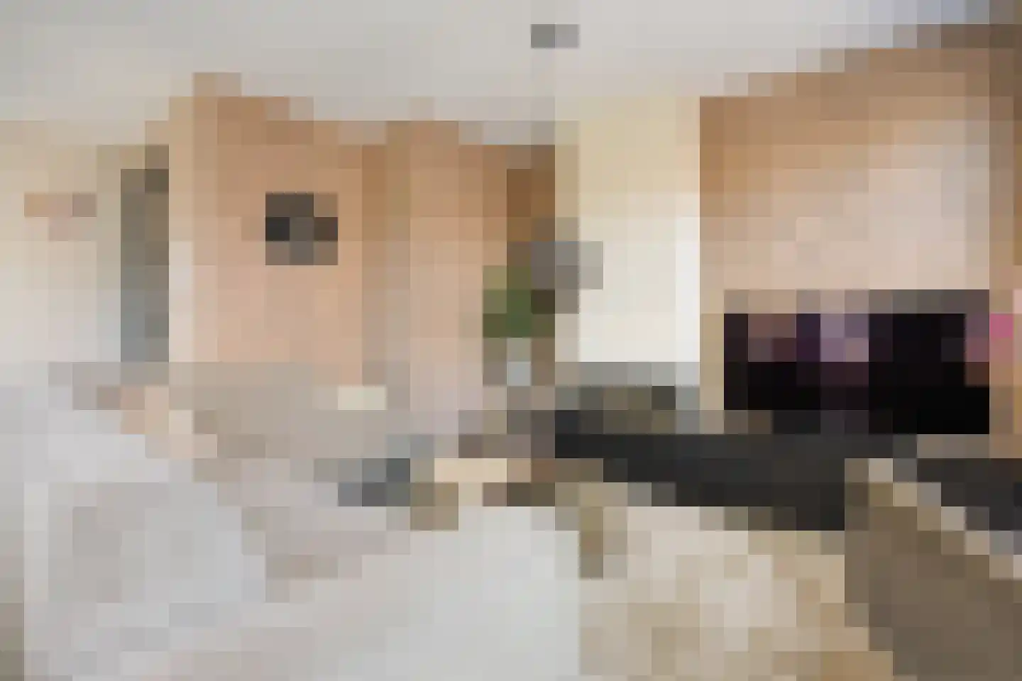 Flessestraat 7 k Heteren thumbnail 18