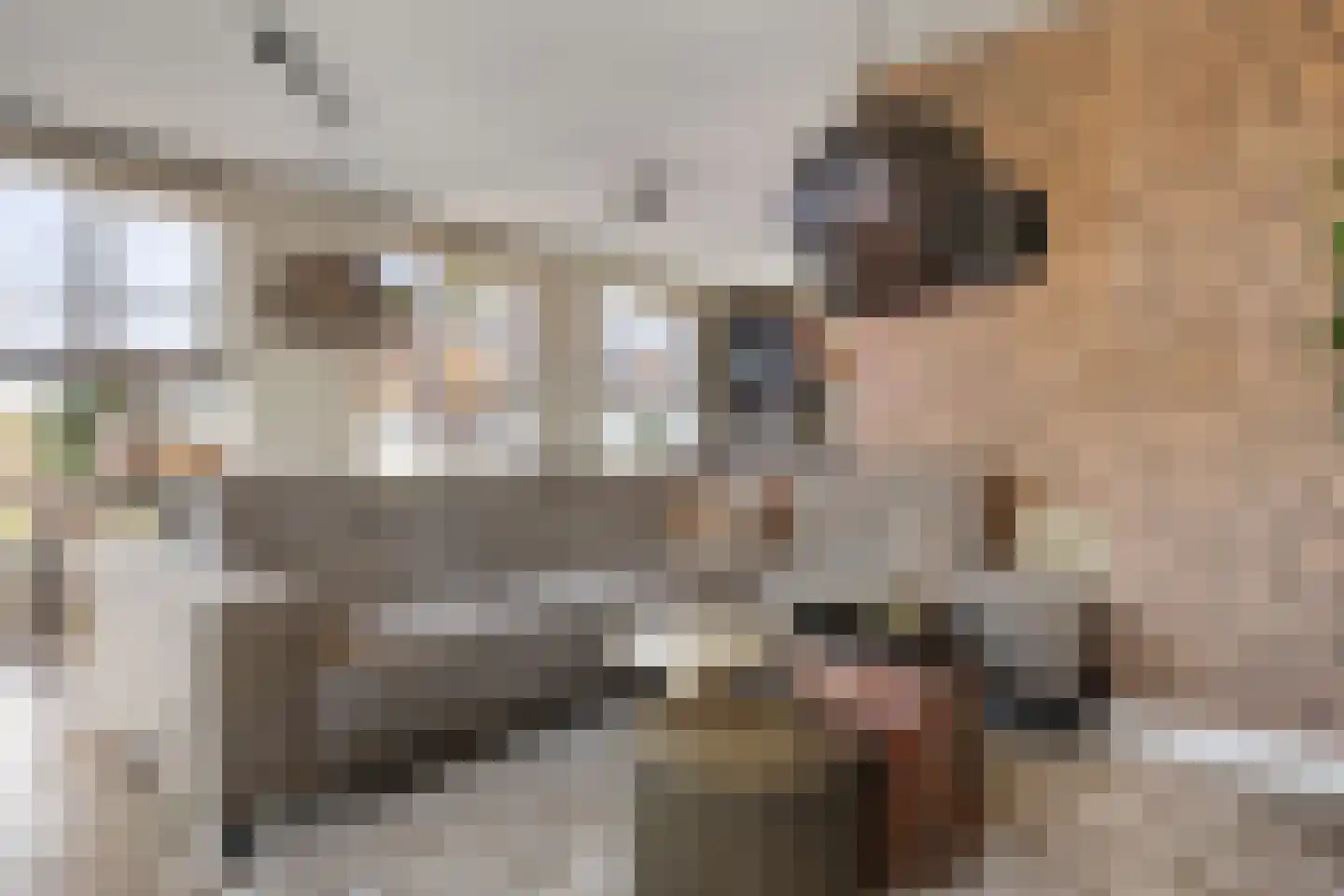 Flessestraat 7 k Heteren thumbnail 19