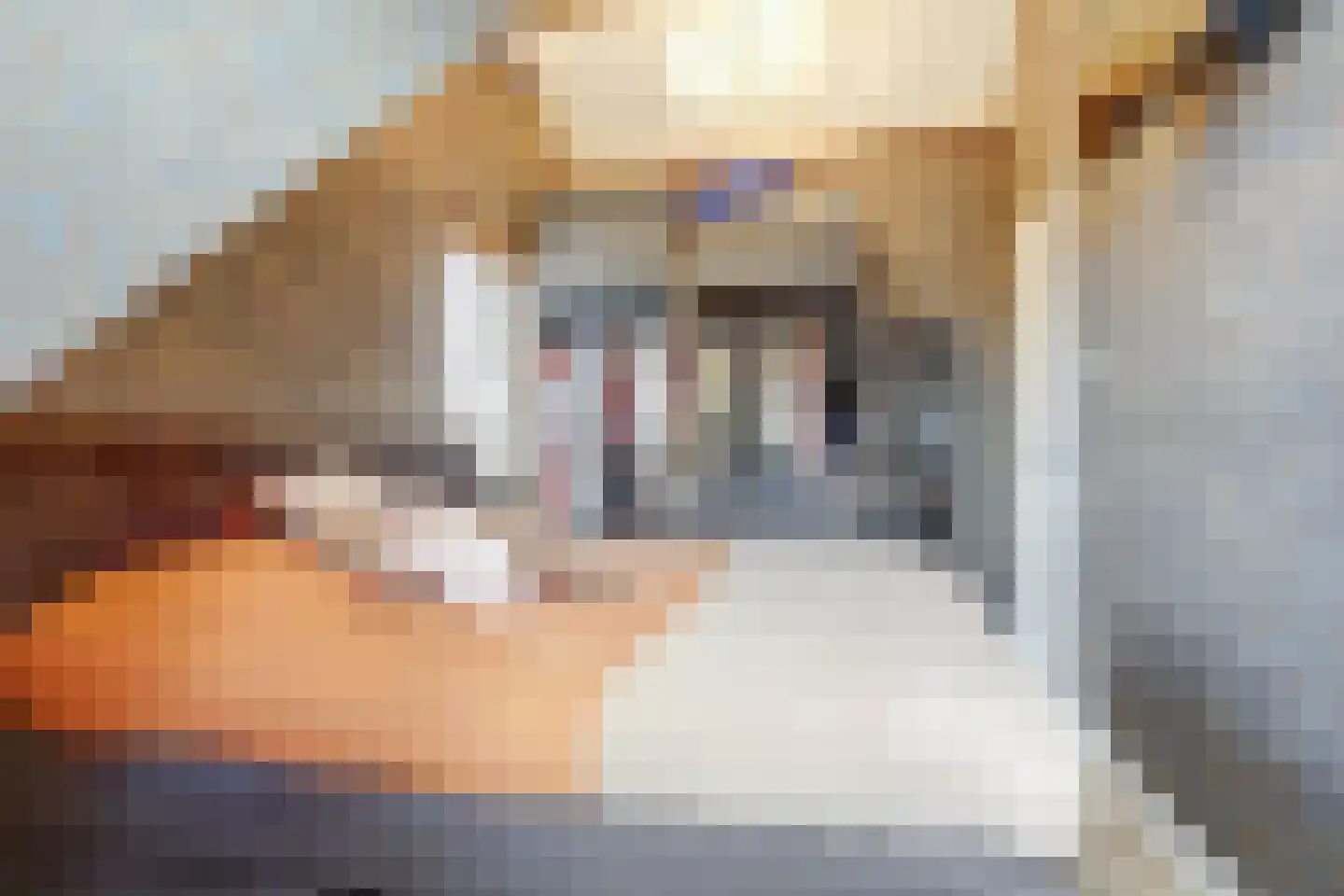 Flessestraat 7 k Heteren thumbnail 22