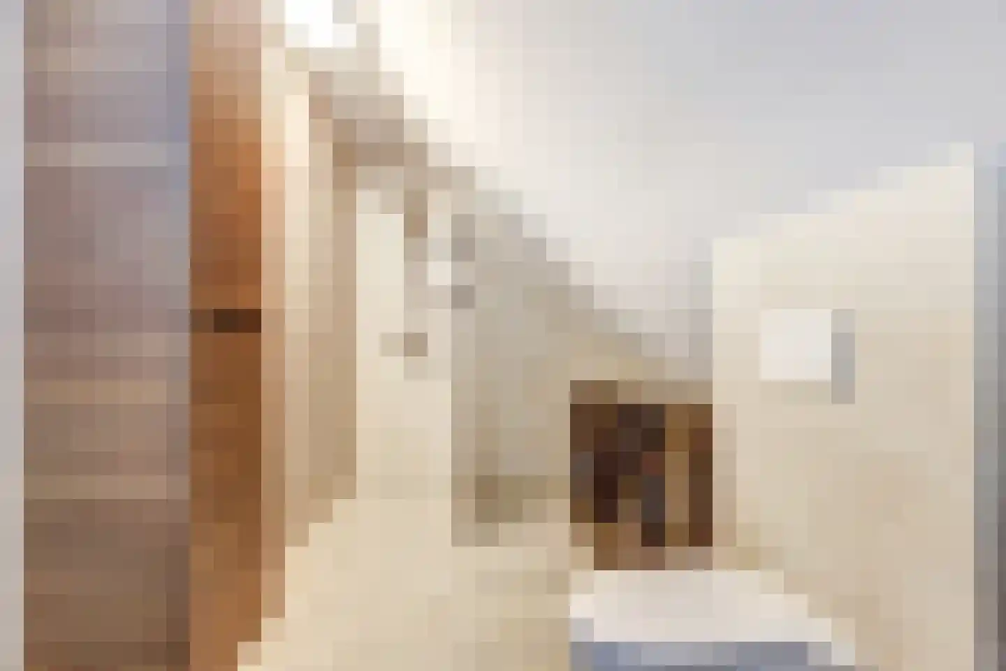 Flessestraat 7 k Heteren thumbnail 32