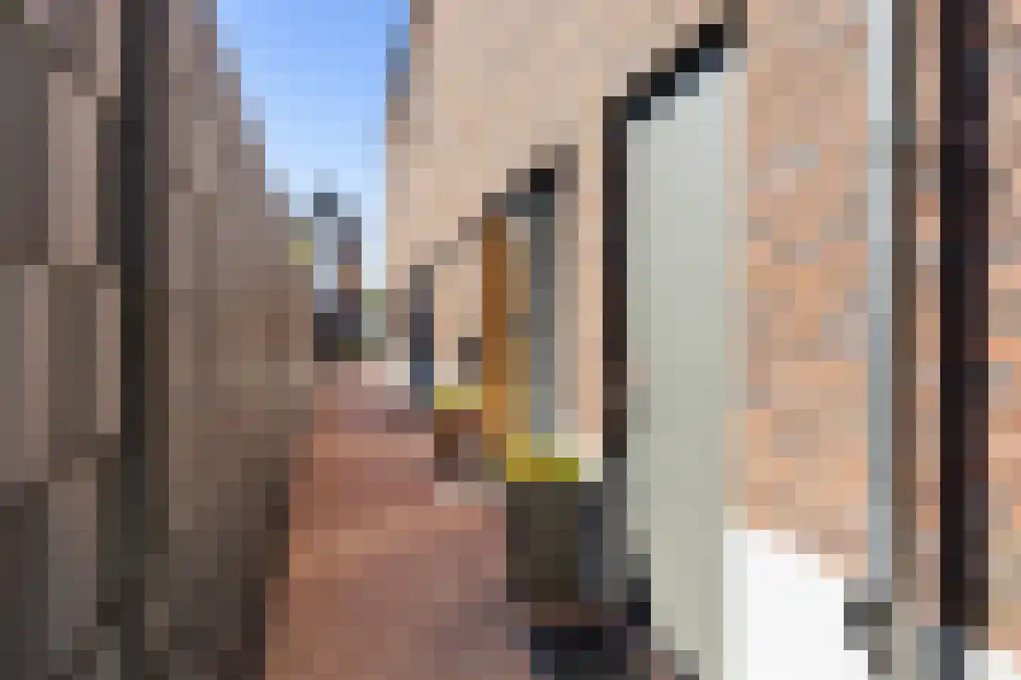Flessestraat 7 k Heteren thumbnail 33