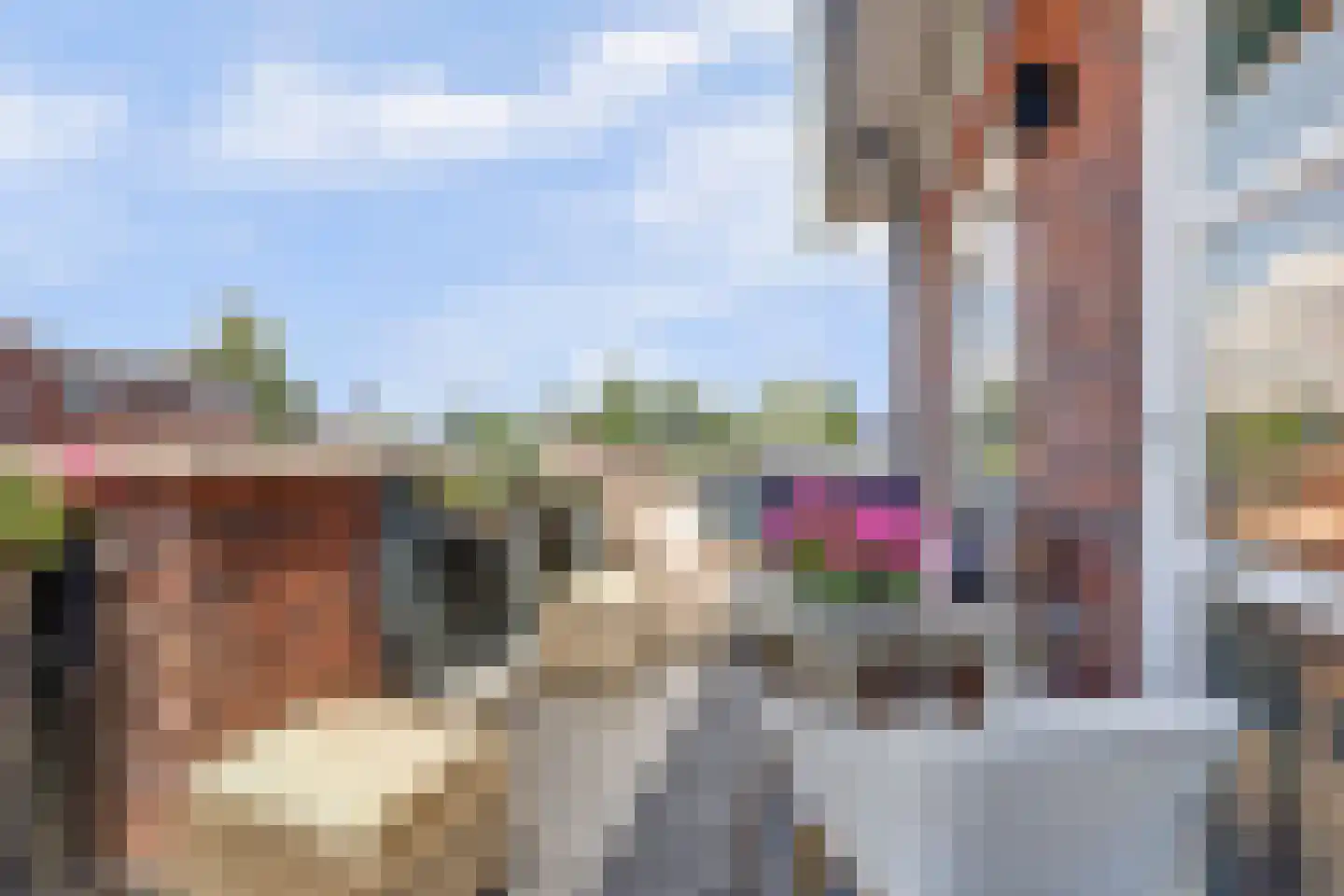 Flessestraat 7 k Heteren thumbnail 39