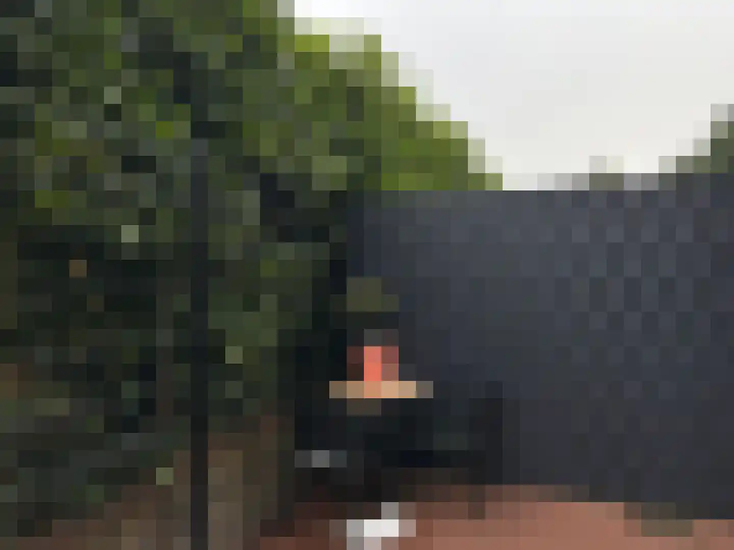 Flessestraat 7 k Heteren thumbnail 47
