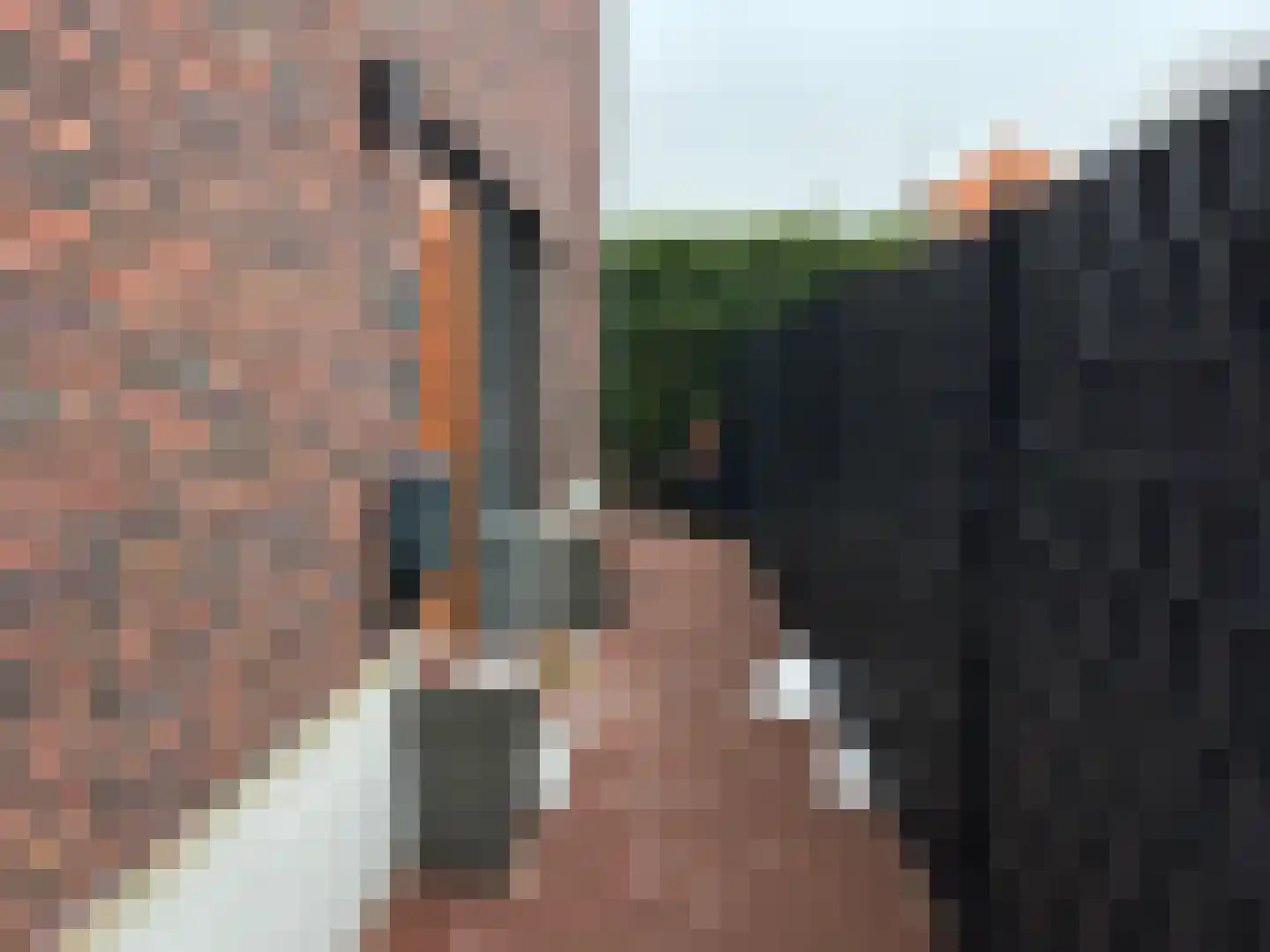 Flessestraat 7 k Heteren thumbnail 51