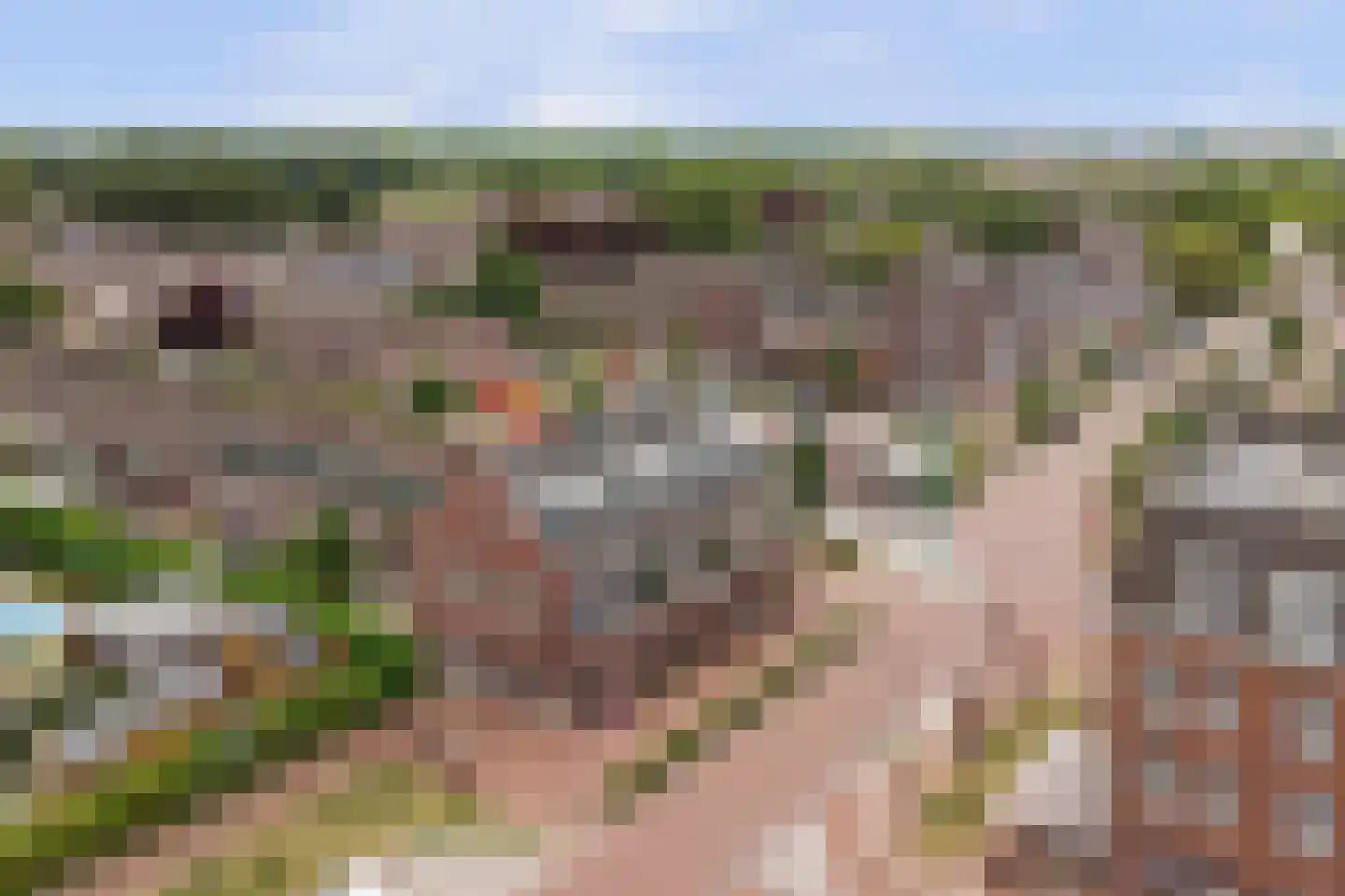 Flessestraat 7 k Heteren thumbnail 54