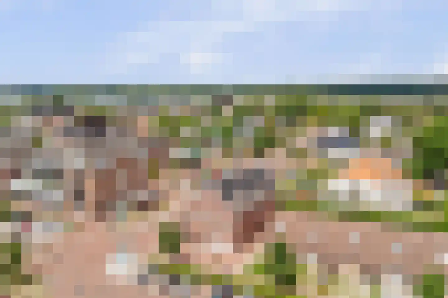 Flessestraat 7 k Heteren thumbnail 56