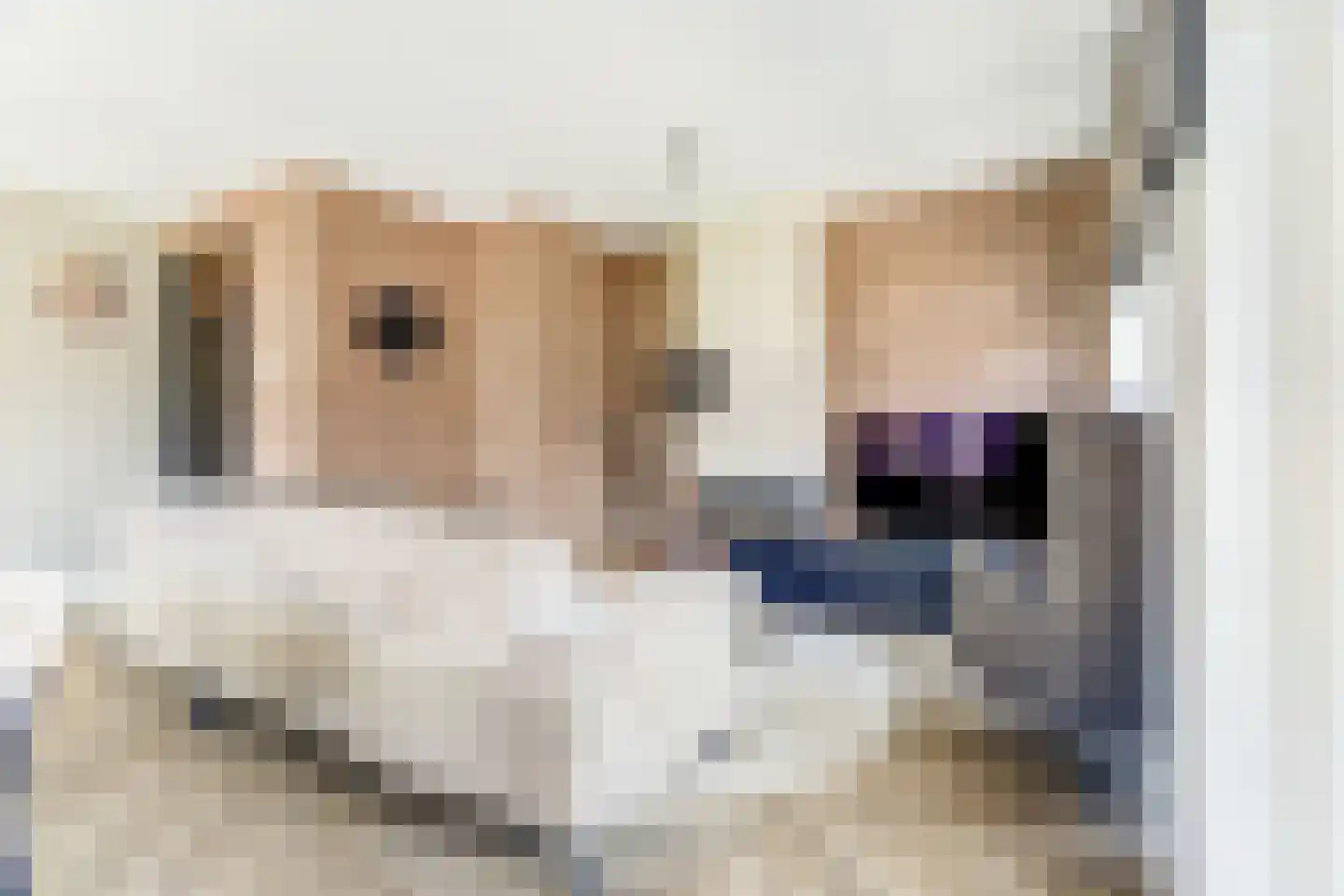 Flessestraat 7 k Heteren thumbnail 6
