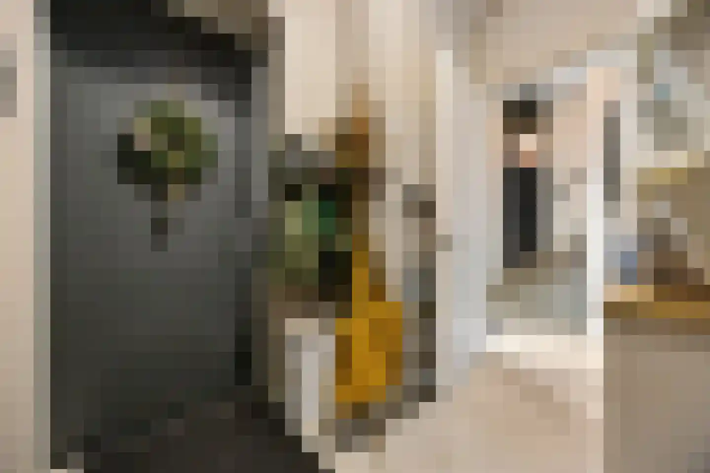 Flessestraat 7 k Heteren thumbnail 8