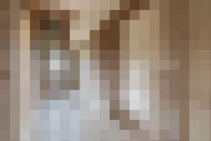 Flessingsterrein 16 Oude Pekela thumbnail 18