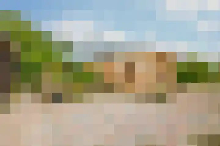 Flessingsterrein 16 Oude Pekela thumbnail 21