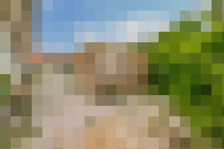 Flessingsterrein 16 Oude Pekela thumbnail 22