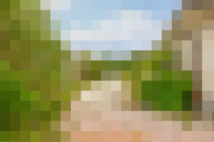 Flessingsterrein 16 Oude Pekela thumbnail 23