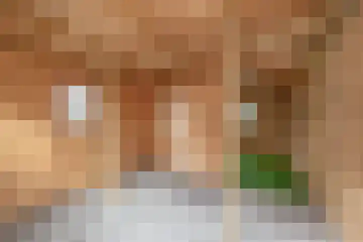Flessingsterrein 16 Oude Pekela thumbnail 24