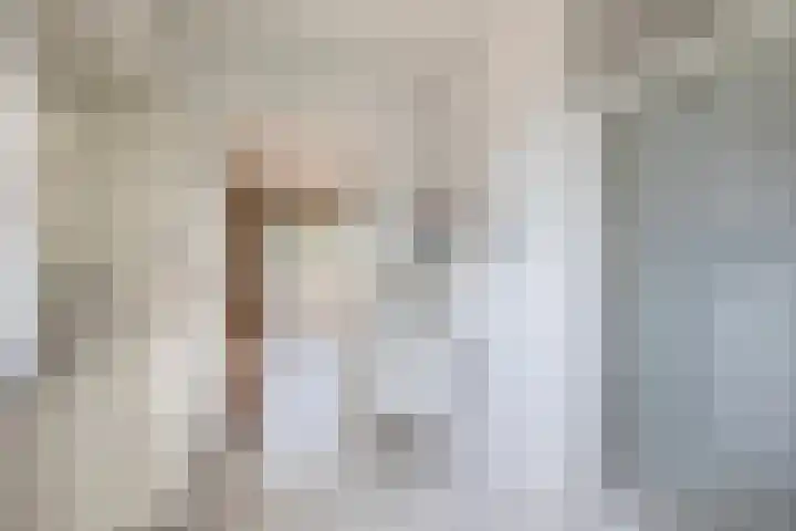 Flessingsterrein 16 Oude Pekela thumbnail 29