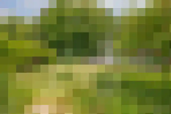 Flessingsterrein 16 Oude Pekela thumbnail 36