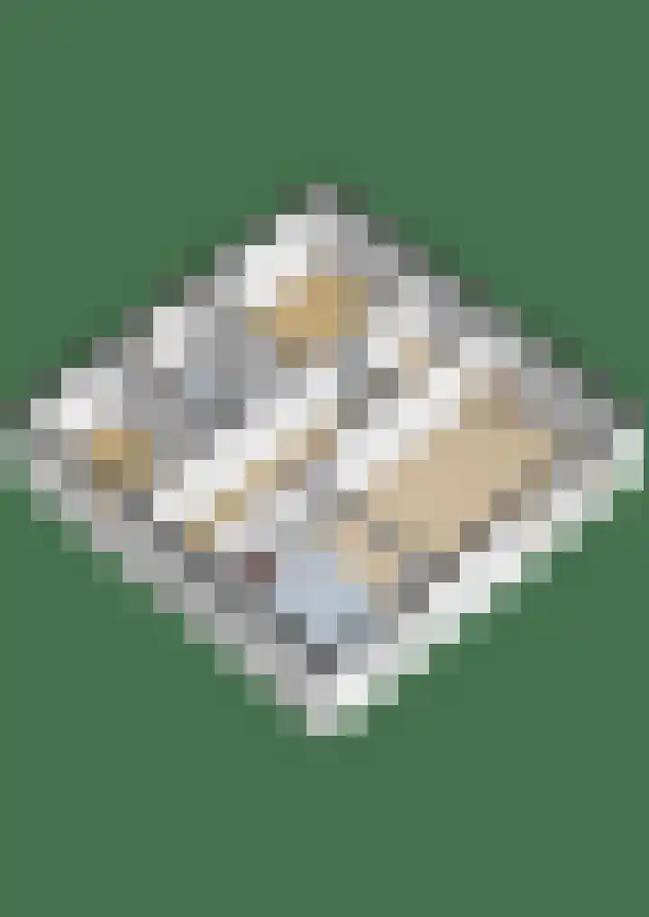 Flessingsterrein 16 Oude Pekela thumbnail 38
