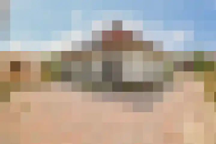 Flessingsterrein 16 Oude Pekela thumbnail 4