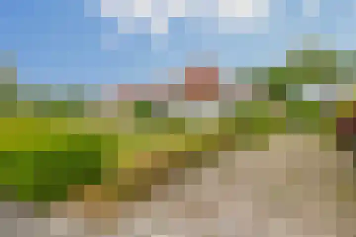 Flessingsterrein 16 Oude Pekela thumbnail 5
