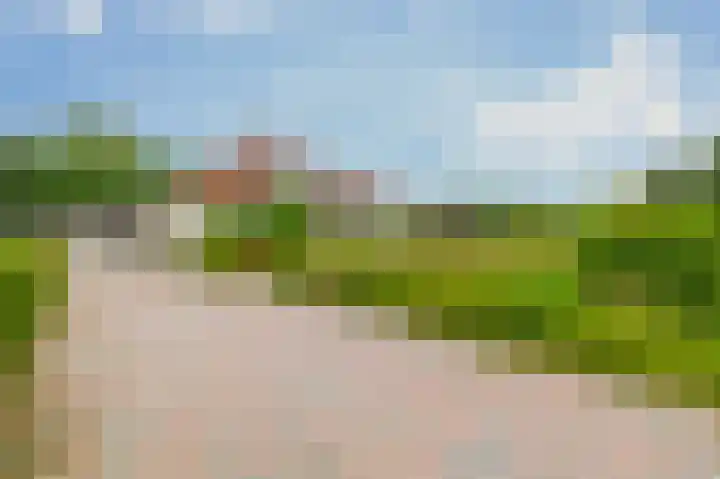 Flessingsterrein 16 Oude Pekela thumbnail 6