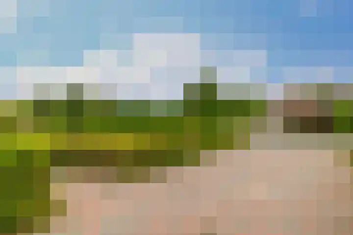 Flessingsterrein 16 Oude Pekela thumbnail 7