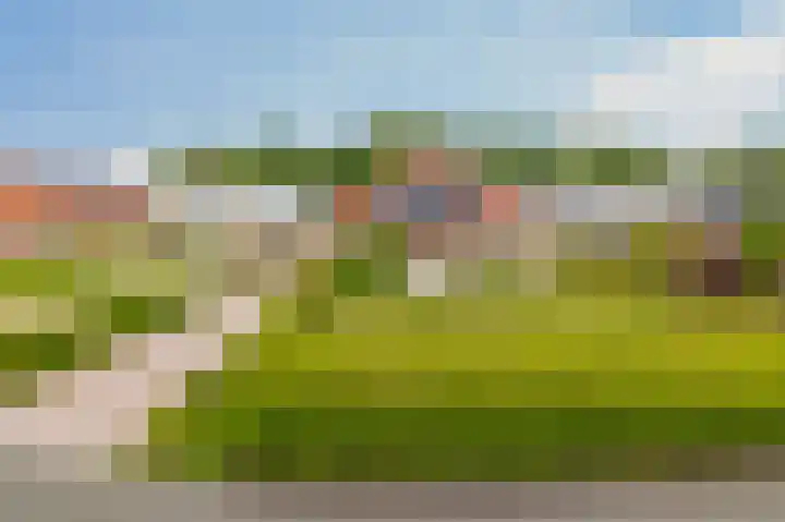 Flessingsterrein 16 Oude Pekela thumbnail 8