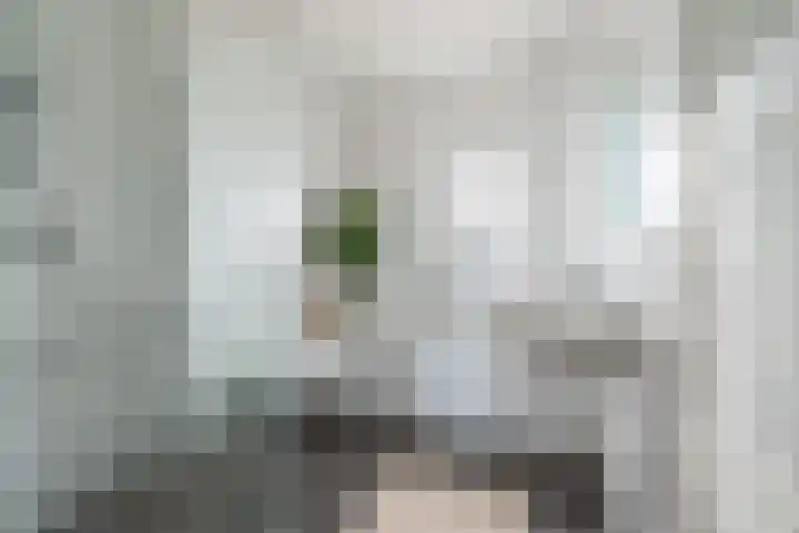 Flettine 16 Leerdam thumbnail 10