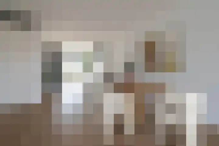 Flettine 16 Leerdam thumbnail 5