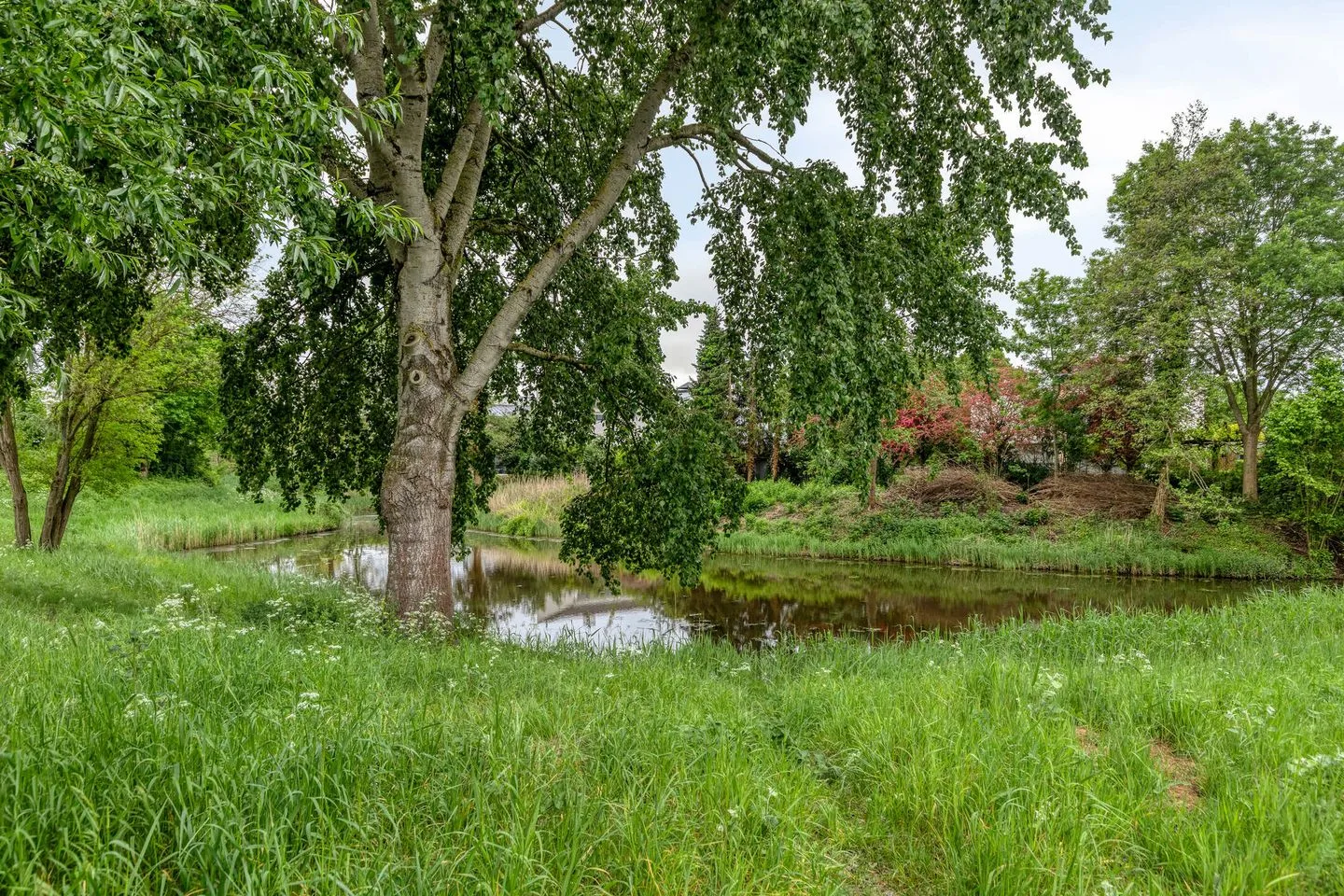 Fleurberg 14 Roosendaal thumbnail 40