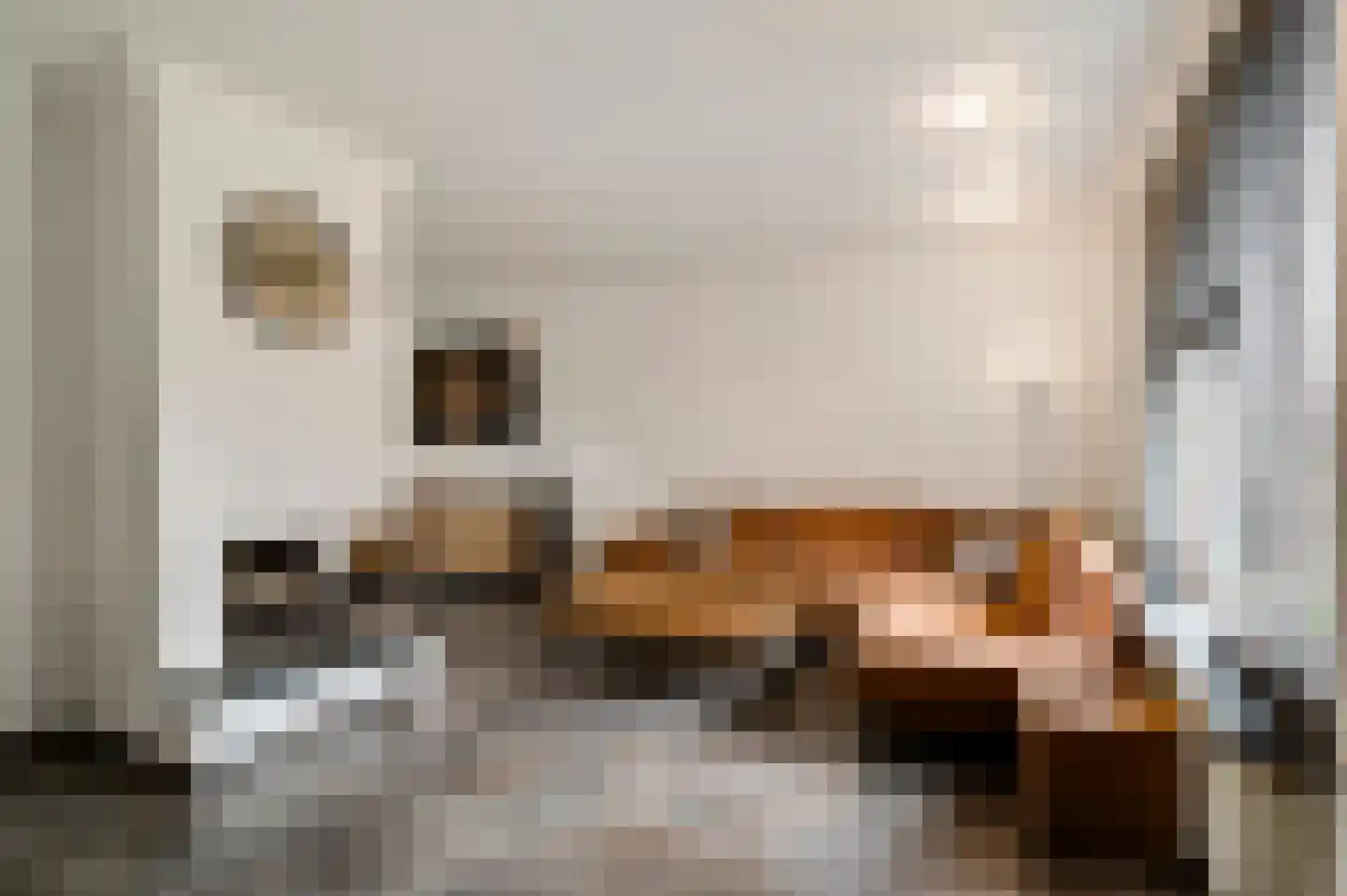 Fleursstraat 16 Hegelsom thumbnail 17