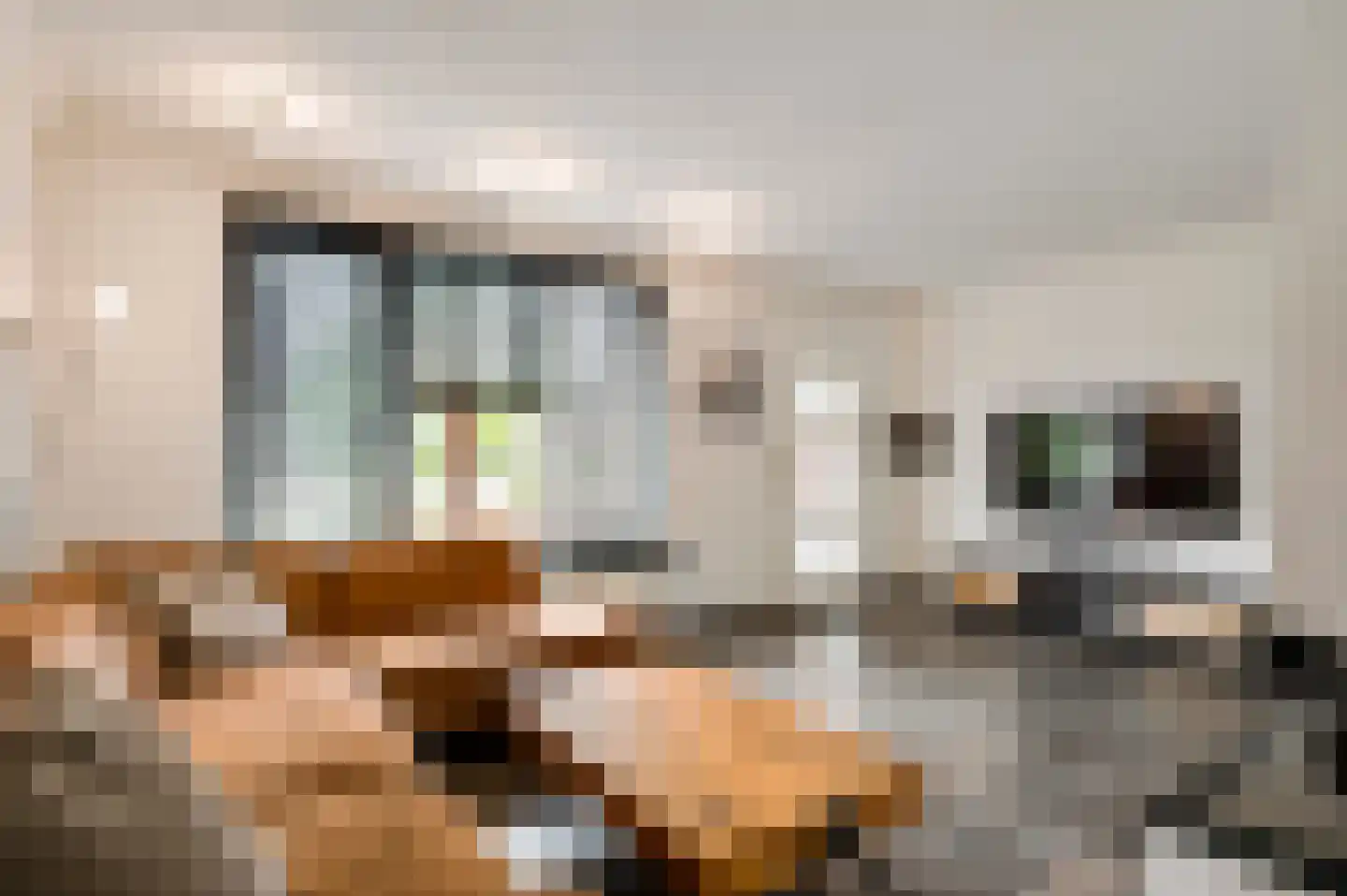 Fleursstraat 16 Hegelsom thumbnail 18