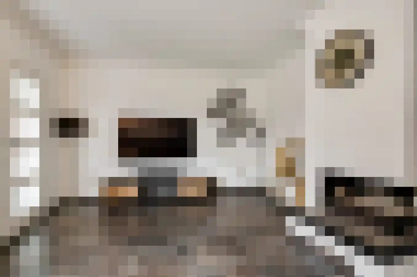 Fleursstraat 16 Hegelsom thumbnail 19