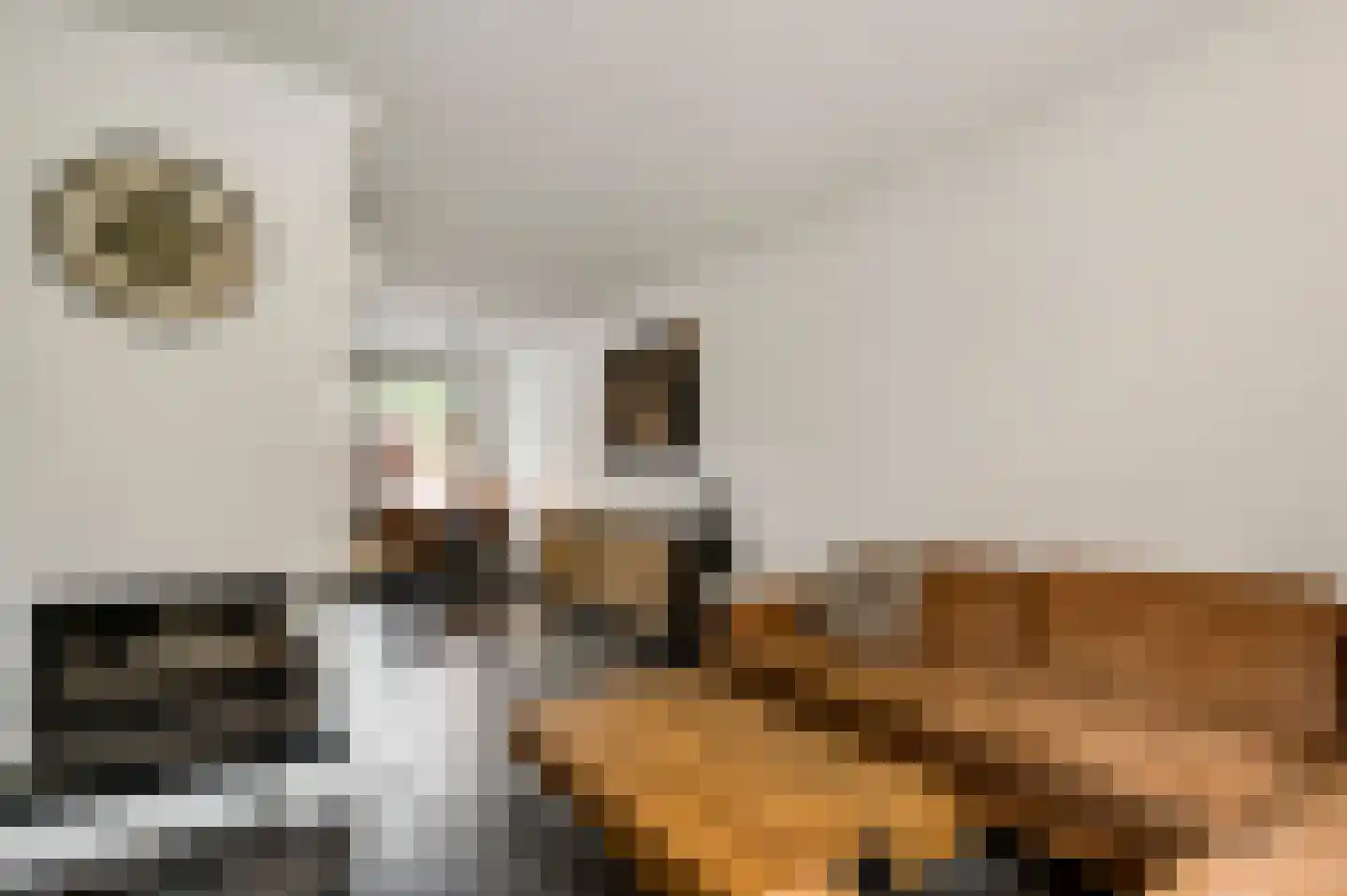 Fleursstraat 16 Hegelsom thumbnail 20