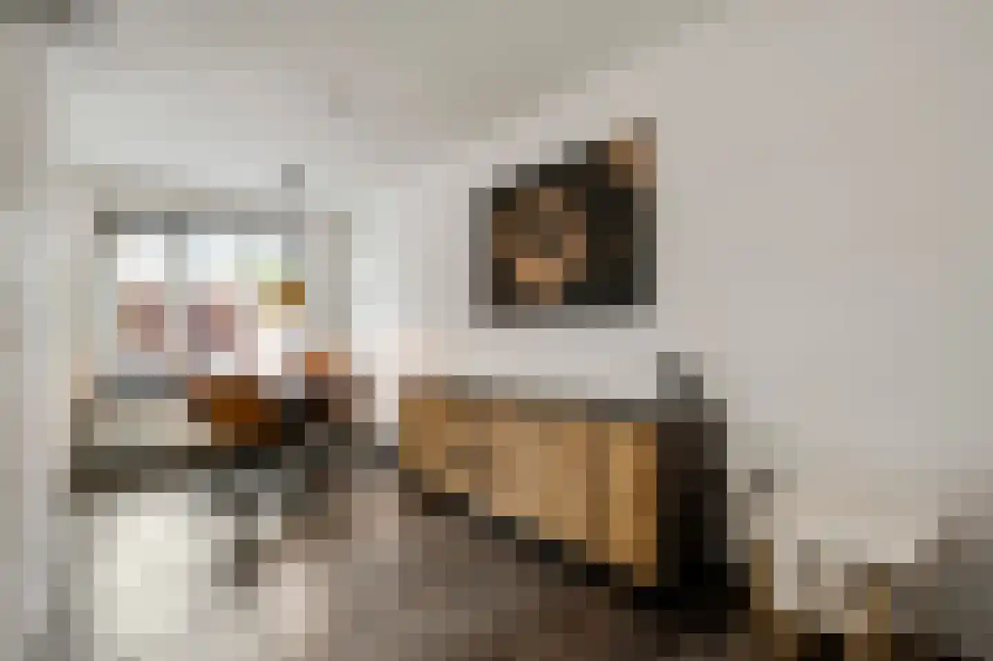 Fleursstraat 16 Hegelsom thumbnail 21