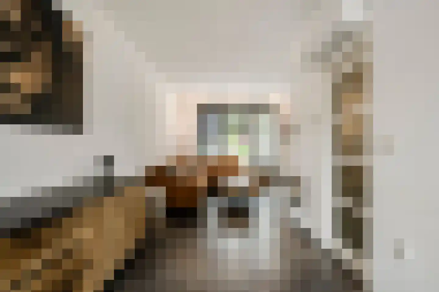 Fleursstraat 16 Hegelsom thumbnail 22
