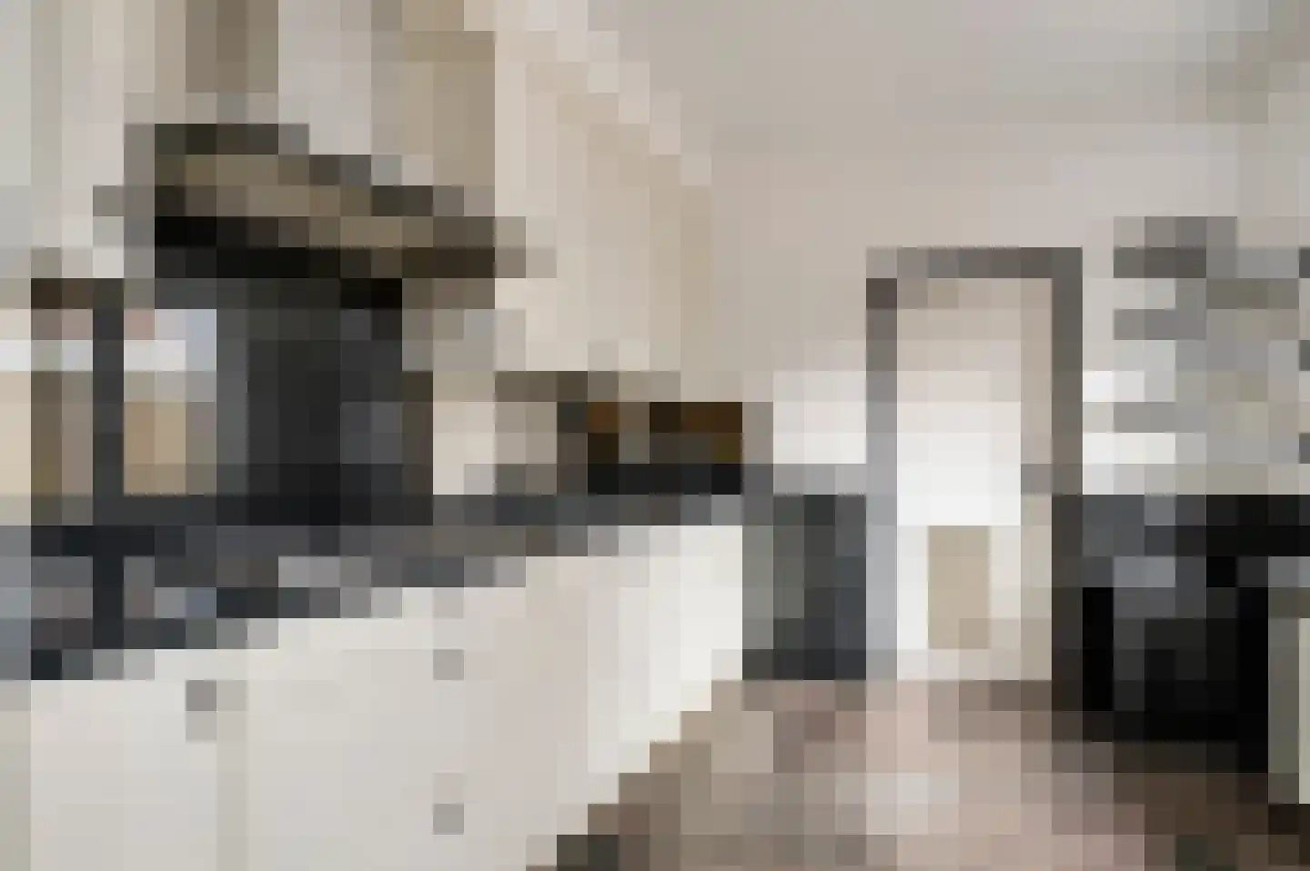 Fleursstraat 16 Hegelsom thumbnail 25