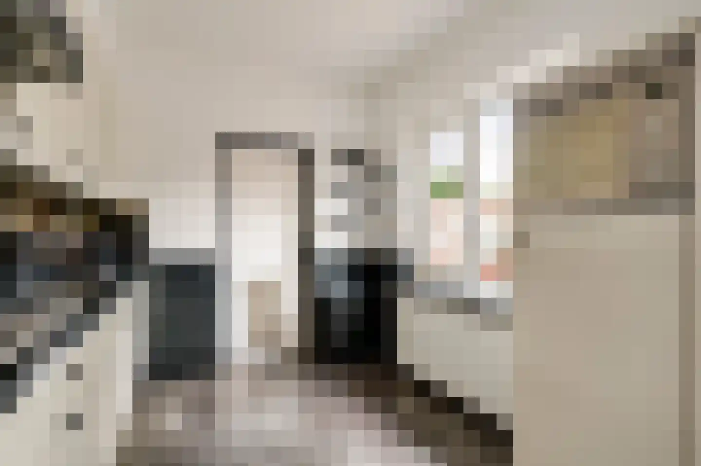 Fleursstraat 16 Hegelsom thumbnail 26