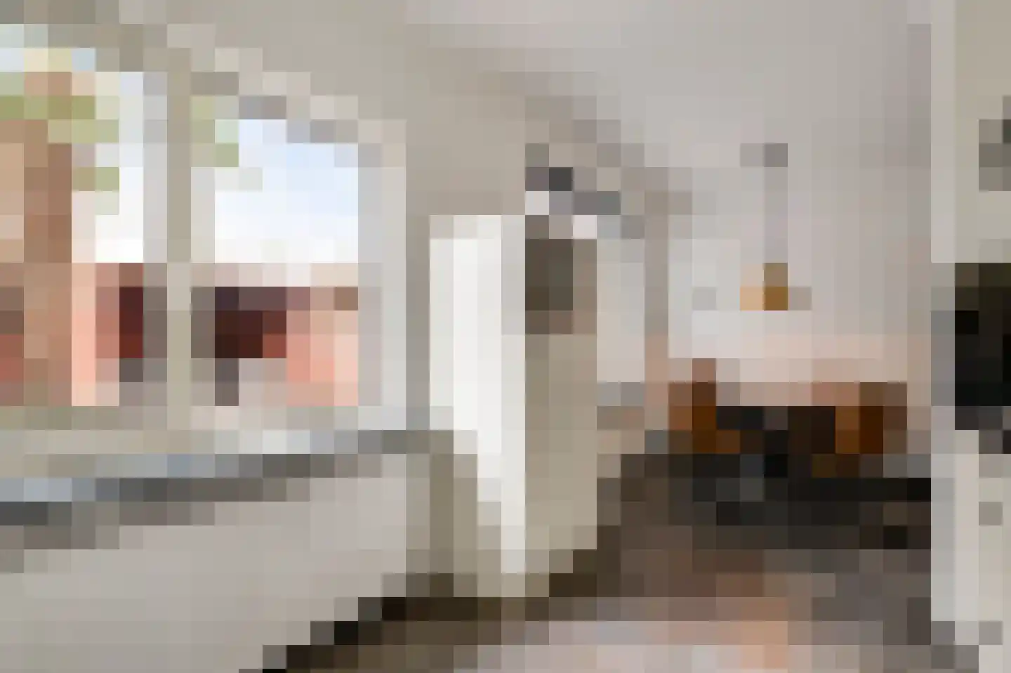 Fleursstraat 16 Hegelsom thumbnail 28