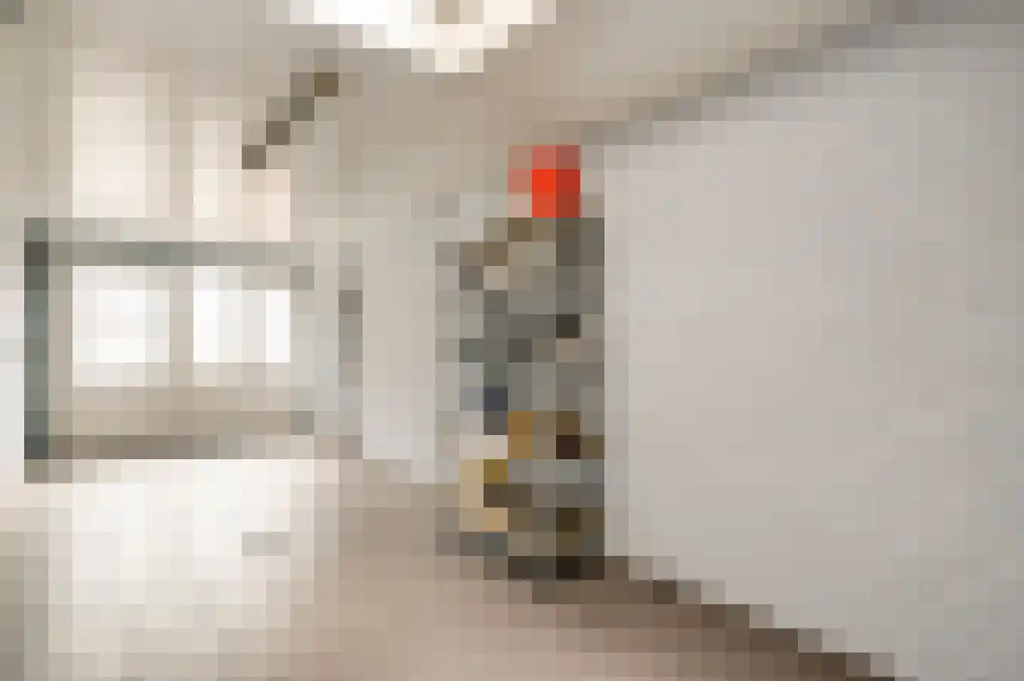Fleursstraat 16 Hegelsom thumbnail 31